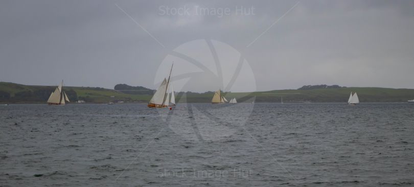 Fife Regatta - 2022