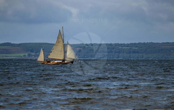 Racing Yacht