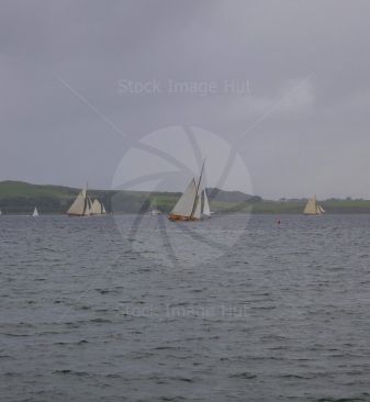 Regatta