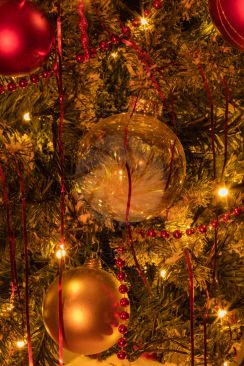 Close-Up Of Decorated Christmas Tree