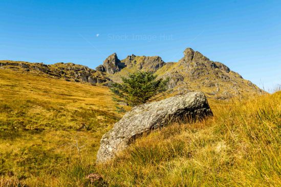 Cobbler (Ben Arthur)