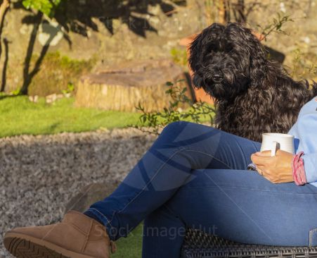 Puppy sitting with it\'s owner enjoying the morning summer sun