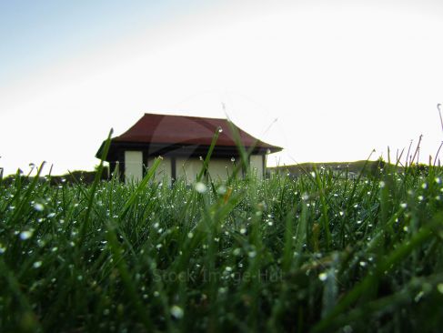 A low down close up shot of early morning dew sitting on grass with seating hut in background. This was taken just after sunrise