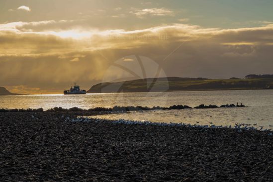 Ferry Leaving seaside town of Largs and heading for Millport  as dusk sets in. image