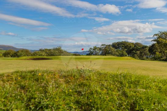 Very low down shot looking from rough towards green on golf course