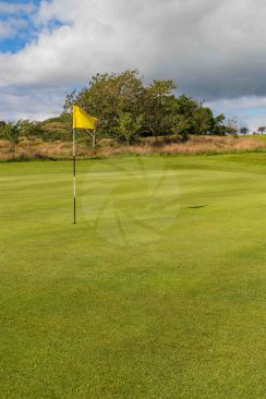 Golf Green With Yellow Flag