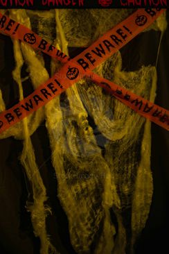 Halloween Spiders Web
