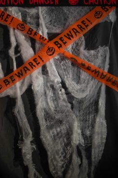 Spiders On Halloween Cob Webs
