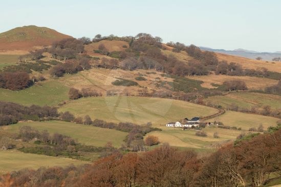 Knockhill in autumn with white farmhouse situated among the rolling landscape