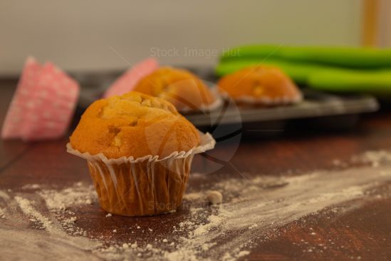 Moist Chocolate Chip Muffin