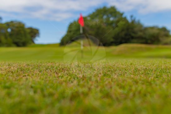 Golf Course
