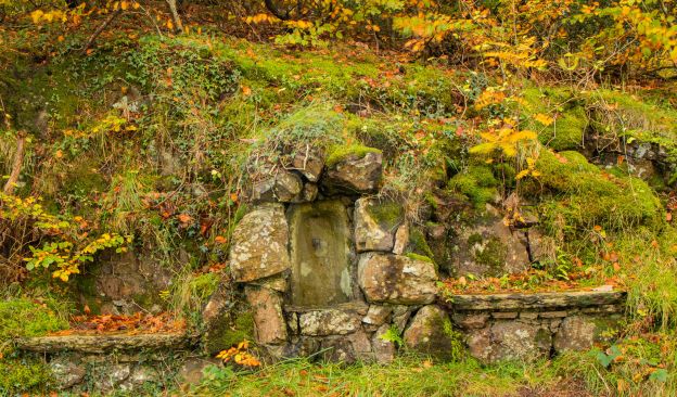An old water tap with bench seats each side on a long woodland walk