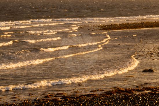 Watching waves gently lap in as the setting sun produces beautiful golden light