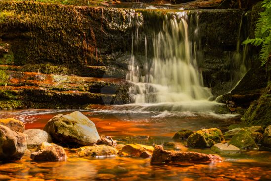 Small waterfall in Scottish woodland