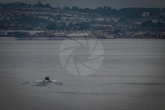 Powerboat cruising at Torquay
