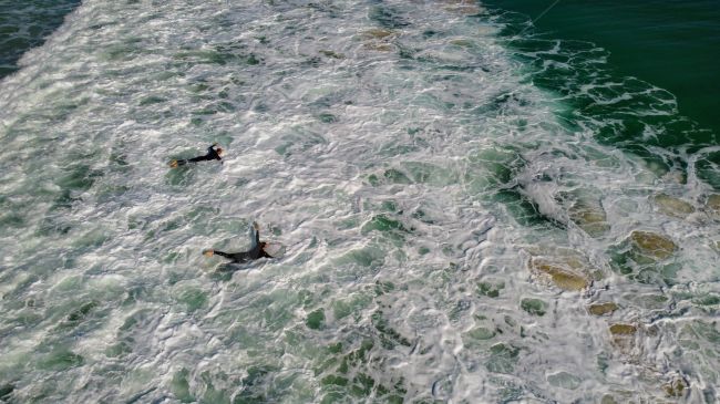 Surfers