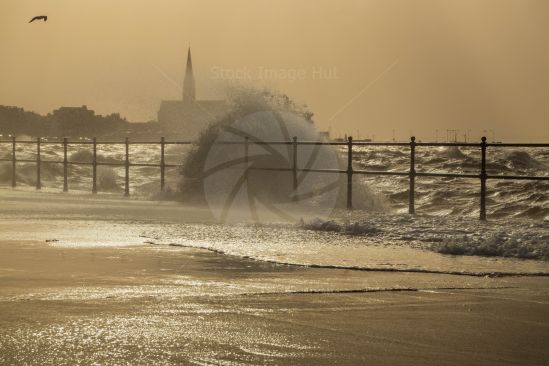 Wild Seascape